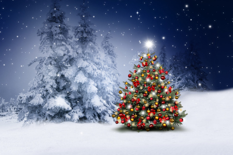 Winter Christmas tree wallpaper 480x320