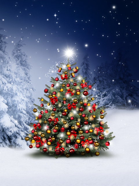 Das Winter Christmas tree Wallpaper 480x640