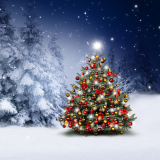 Kostenloses Winter Christmas tree Wallpaper für 2048x2048