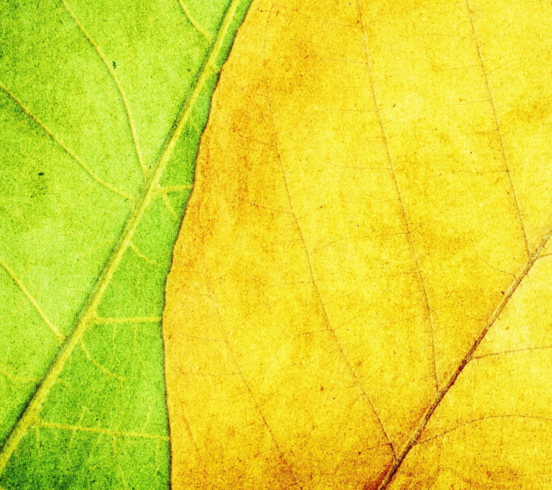 Обои Yellow And Green 1080x960