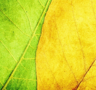 Yellow And Green Background for iPad 3