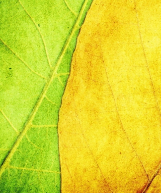 Yellow And Green - Obrázkek zdarma pro Nokia C1-01