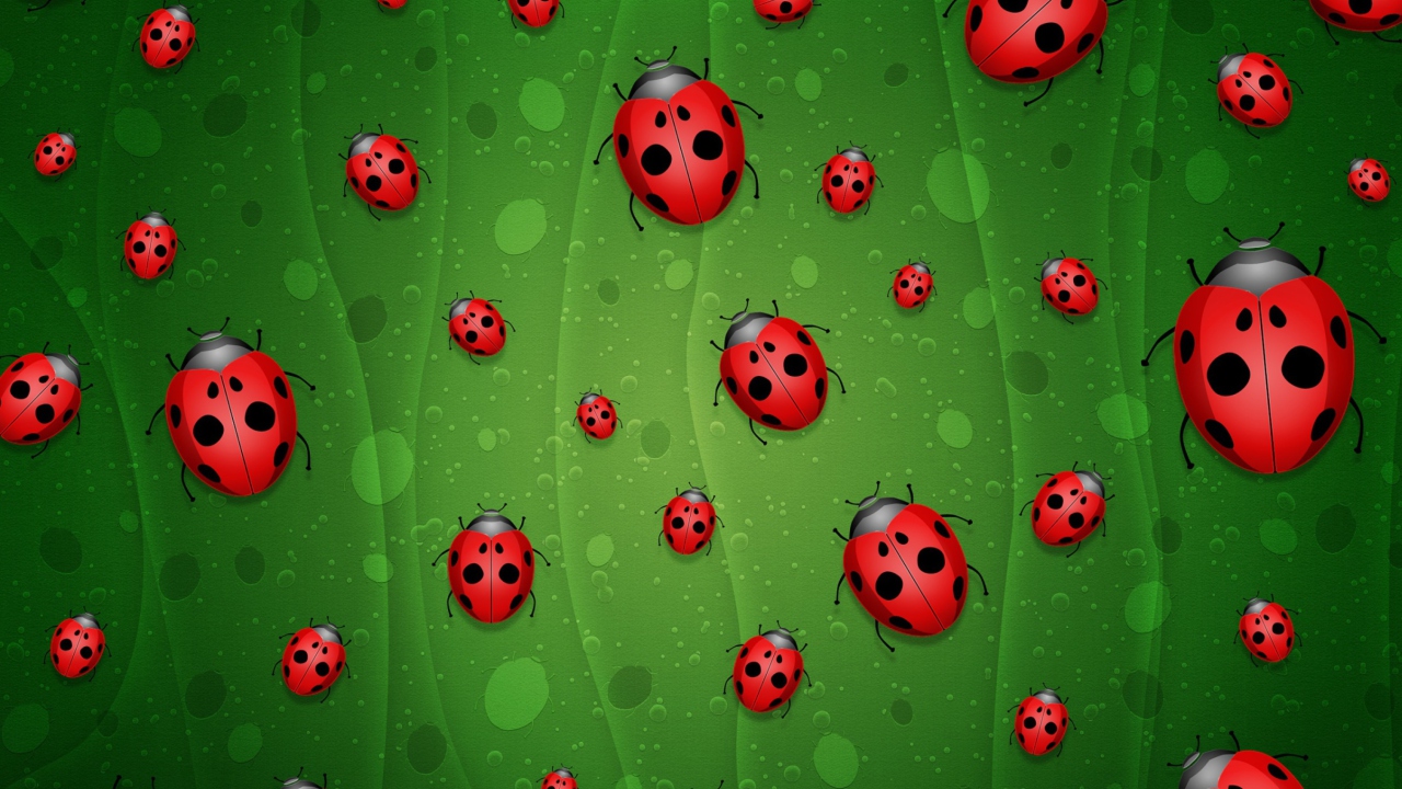 Ladybugs Art wallpaper 1280x720