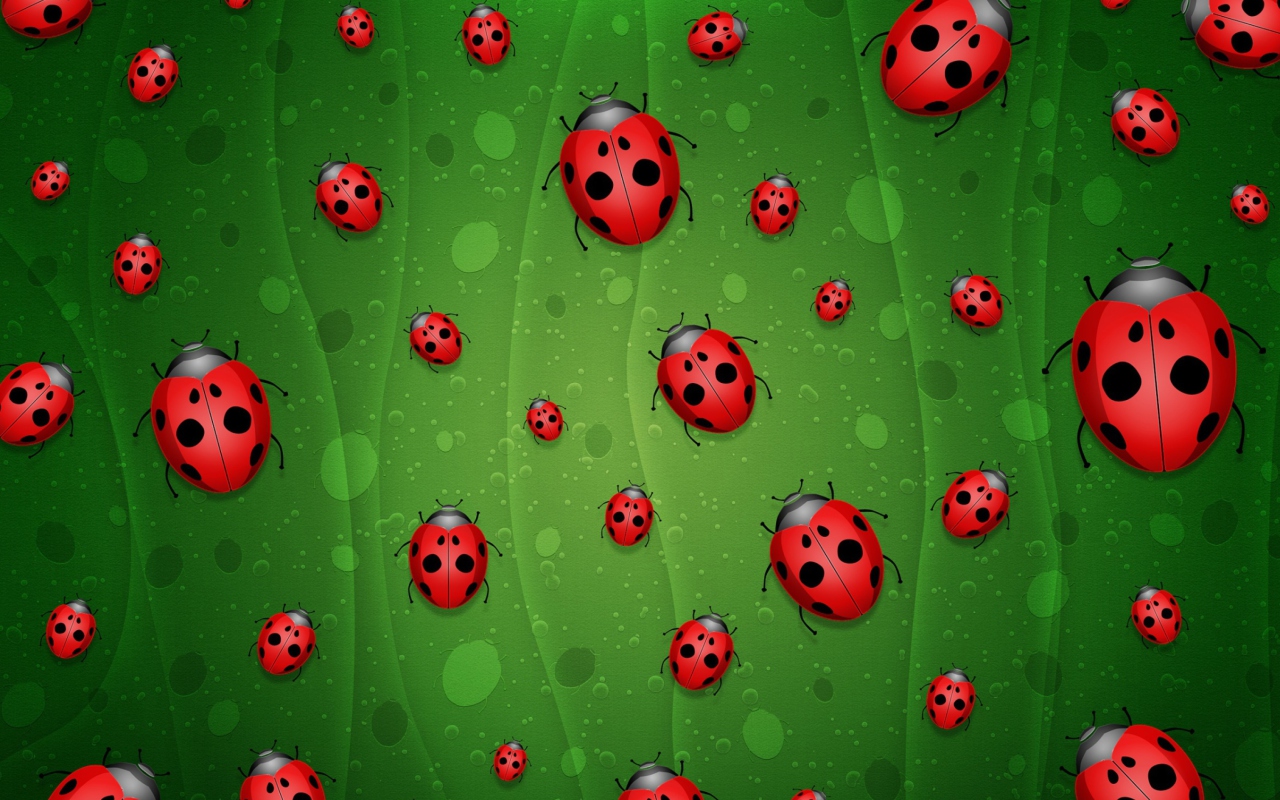 Screenshot №1 pro téma Ladybugs Art 1280x800