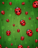 Fondo de pantalla Ladybugs Art 128x160