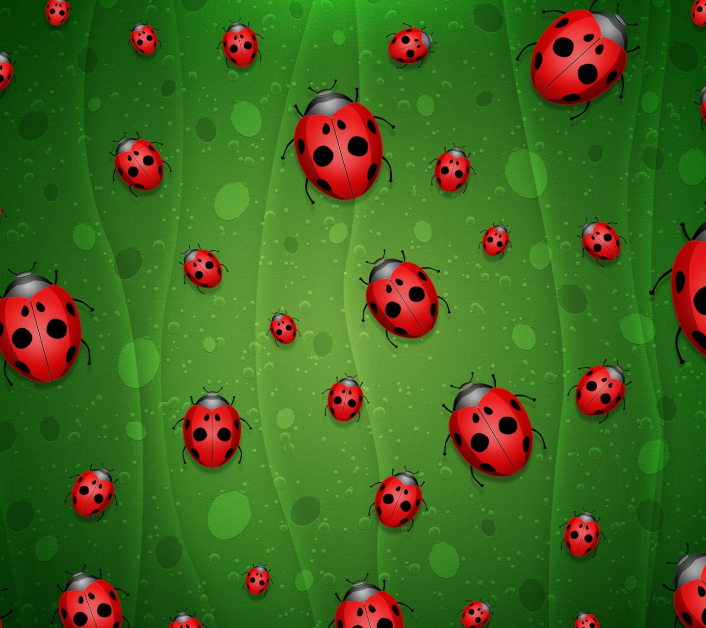 Das Ladybugs Art Wallpaper 1440x1280