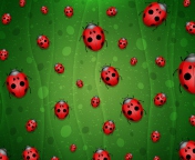 Ladybugs Art wallpaper 176x144
