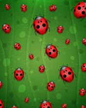 Fondo de pantalla Ladybugs Art 176x220