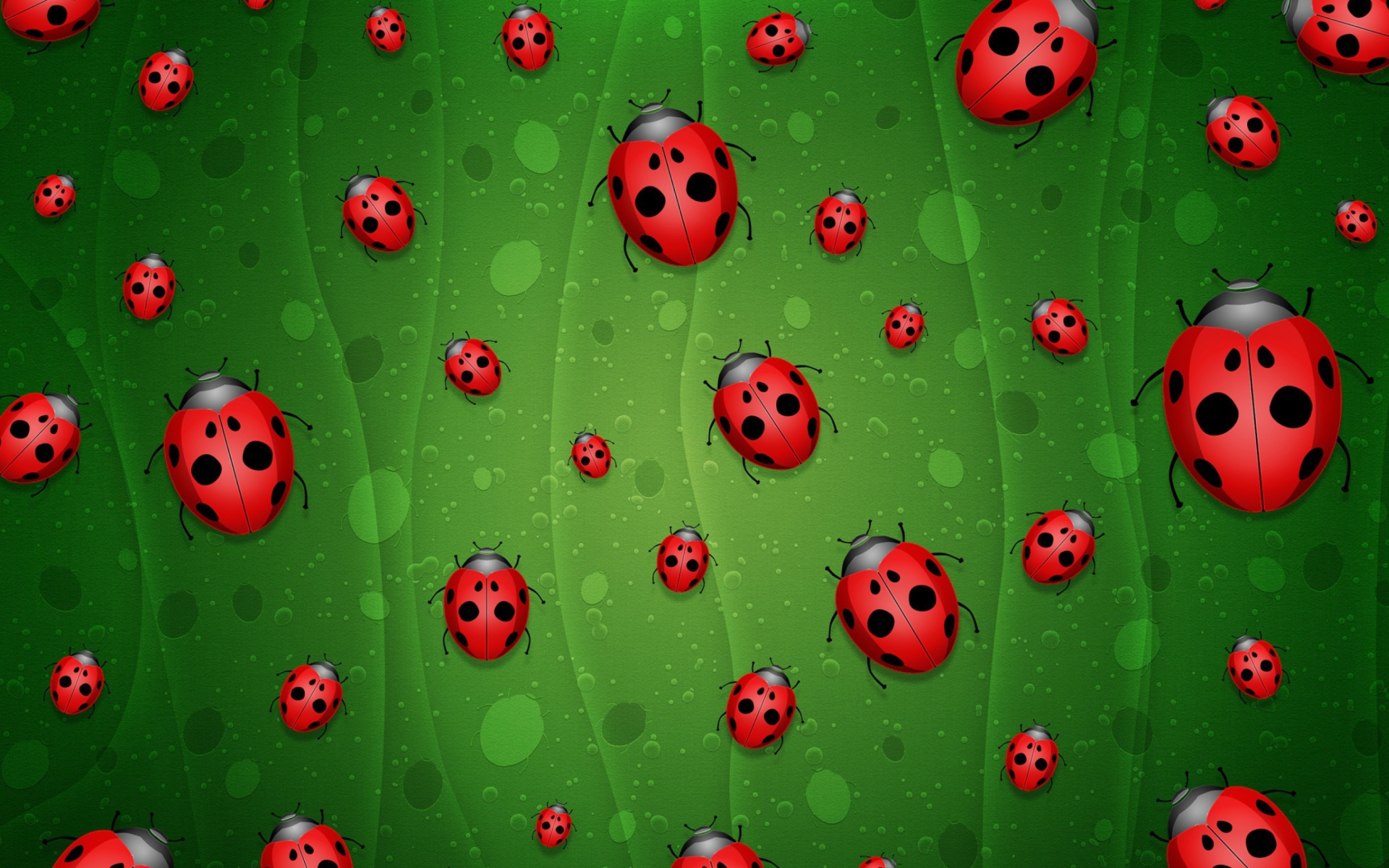 Screenshot №1 pro téma Ladybugs Art 1920x1200