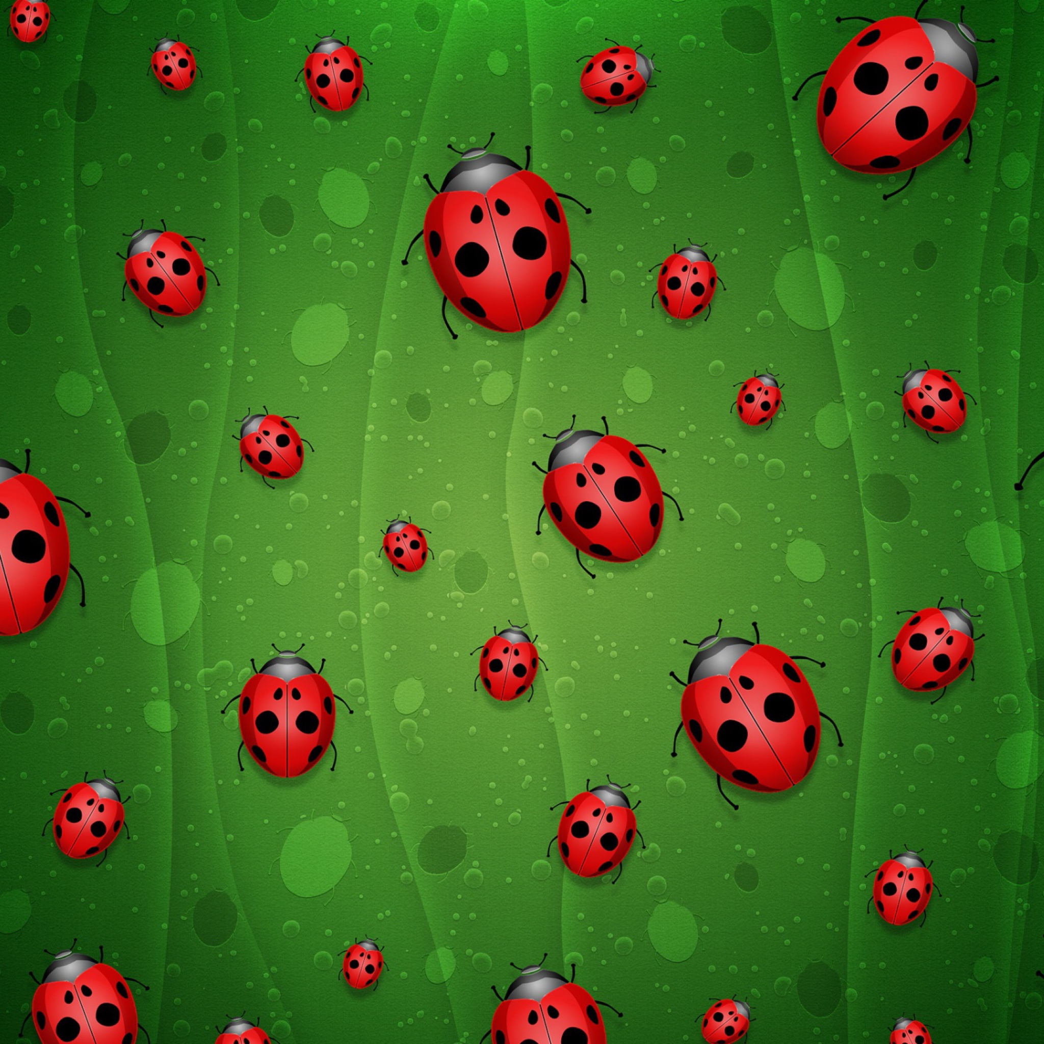 Обои Ladybugs Art 2048x2048