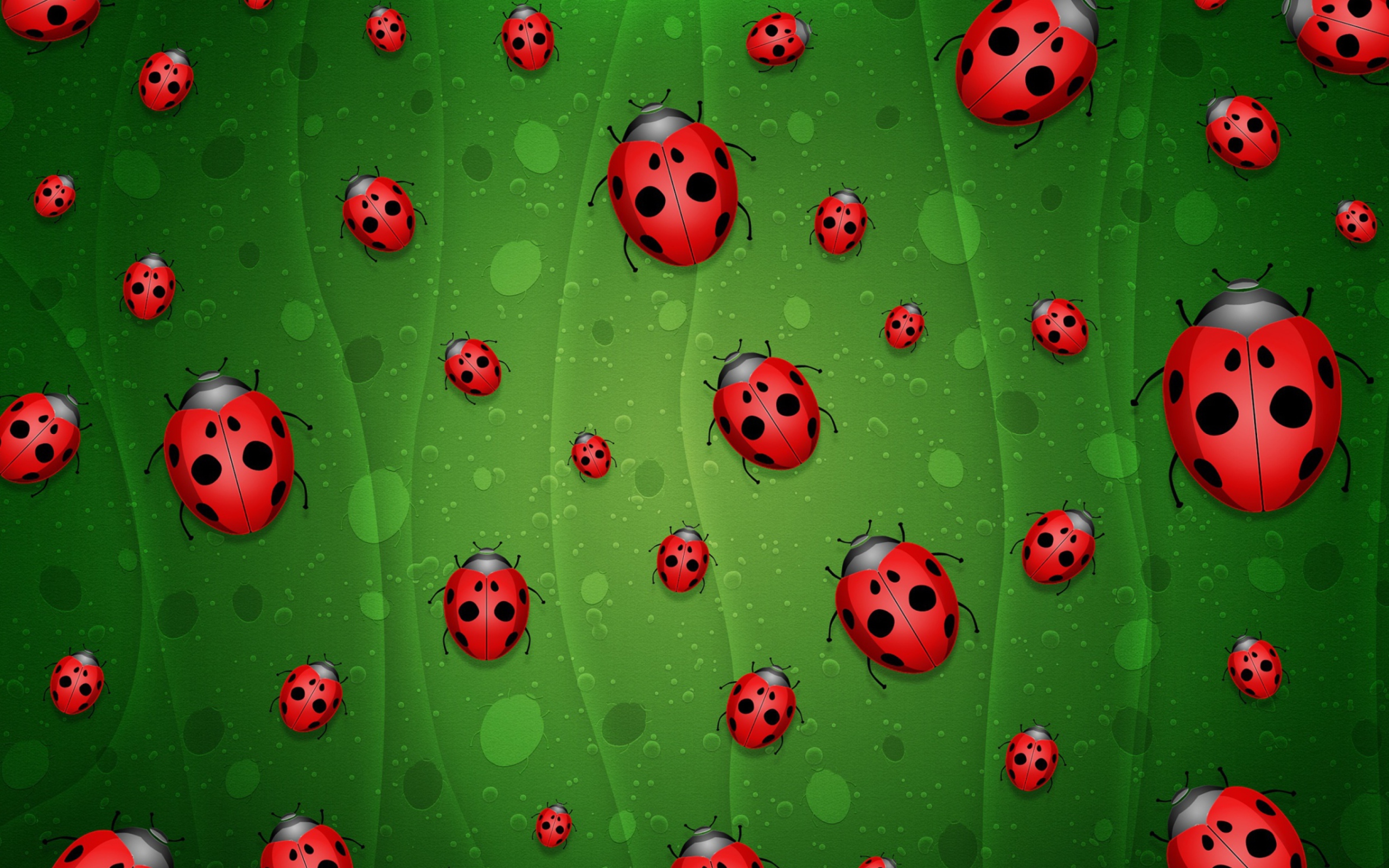 Ladybugs Art wallpaper 2560x1600