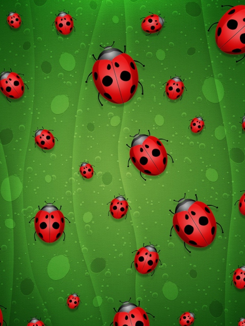 Обои Ladybugs Art 480x640