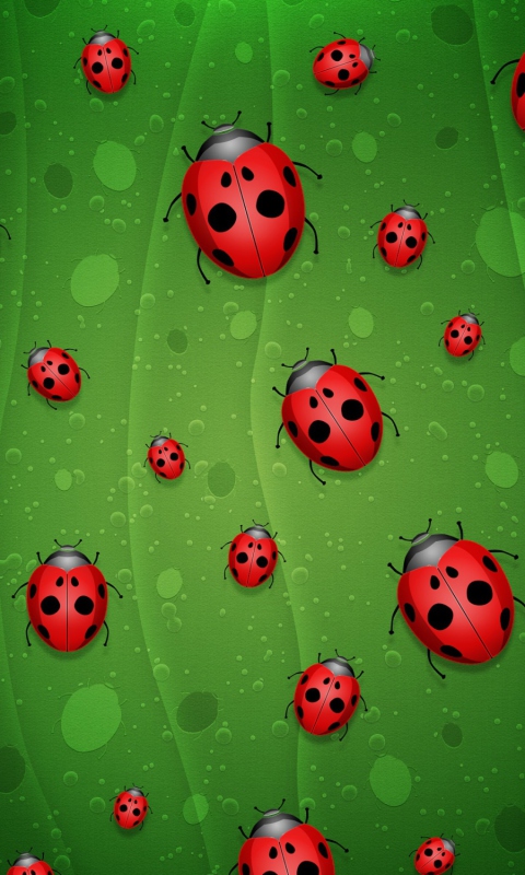 Sfondi Ladybugs Art 480x800