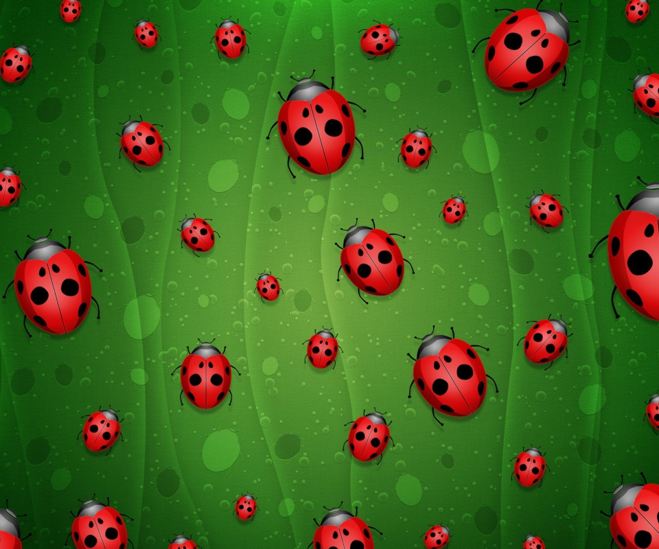 Das Ladybugs Art Wallpaper 960x800