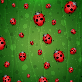Kostenloses Ladybugs Art Wallpaper für iPad Air