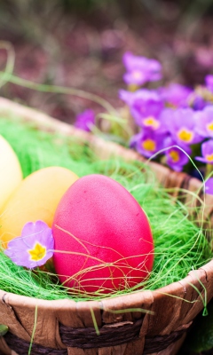 Обои Colorful Easter Eggs 240x400