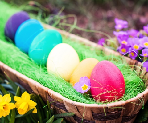 Обои Colorful Easter Eggs 480x400