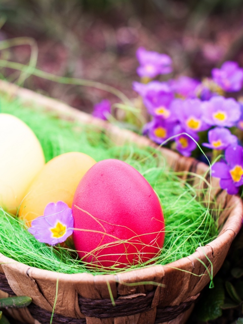 Colorful Easter Eggs wallpaper 480x640
