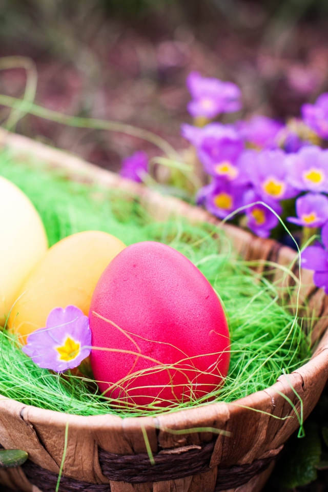 Das Colorful Easter Eggs Wallpaper 640x960