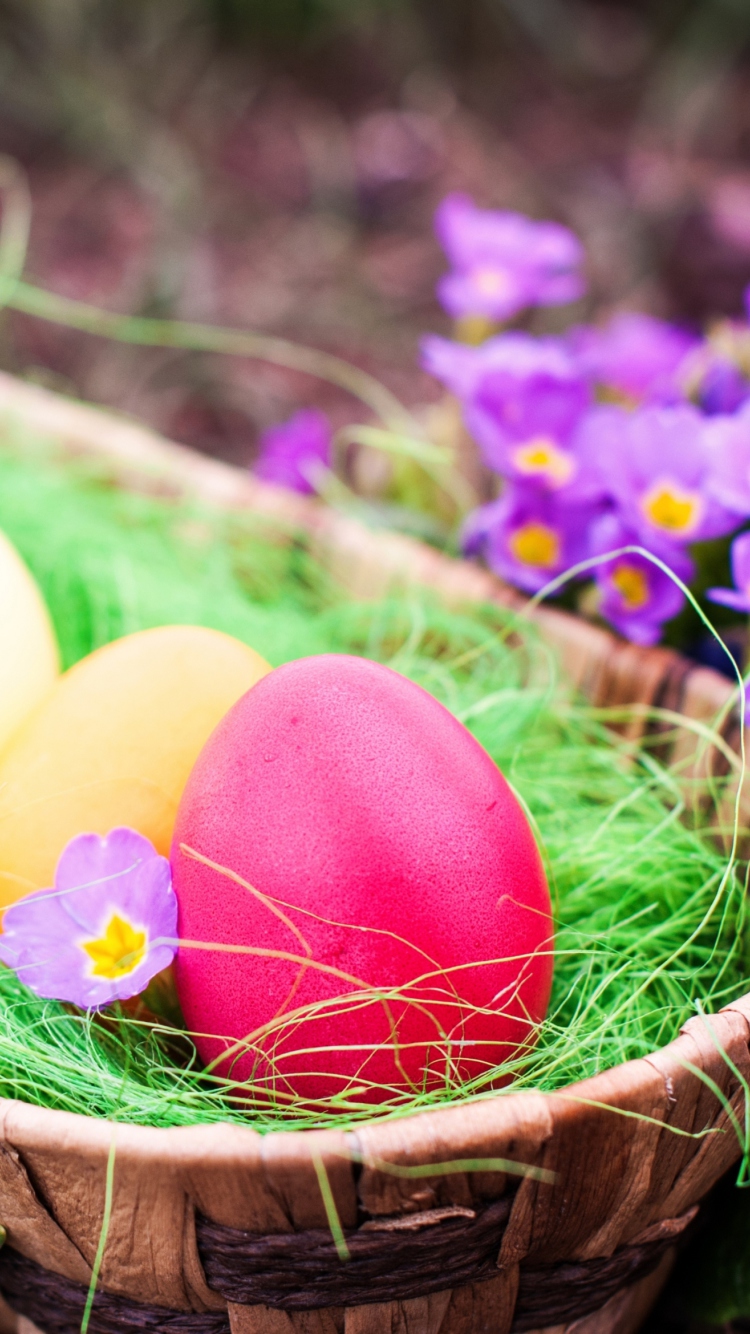 Colorful Easter Eggs wallpaper 750x1334