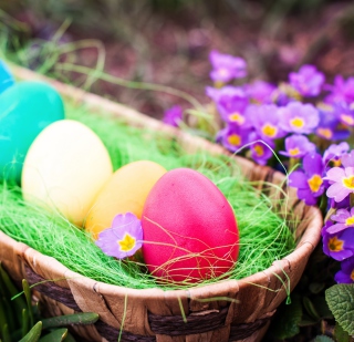 Colorful Easter Eggs sfondi gratuiti per 208x208