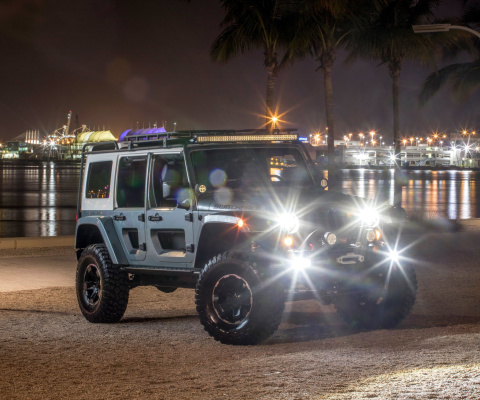 Fondo de pantalla Jeep Switchback Concept 480x400