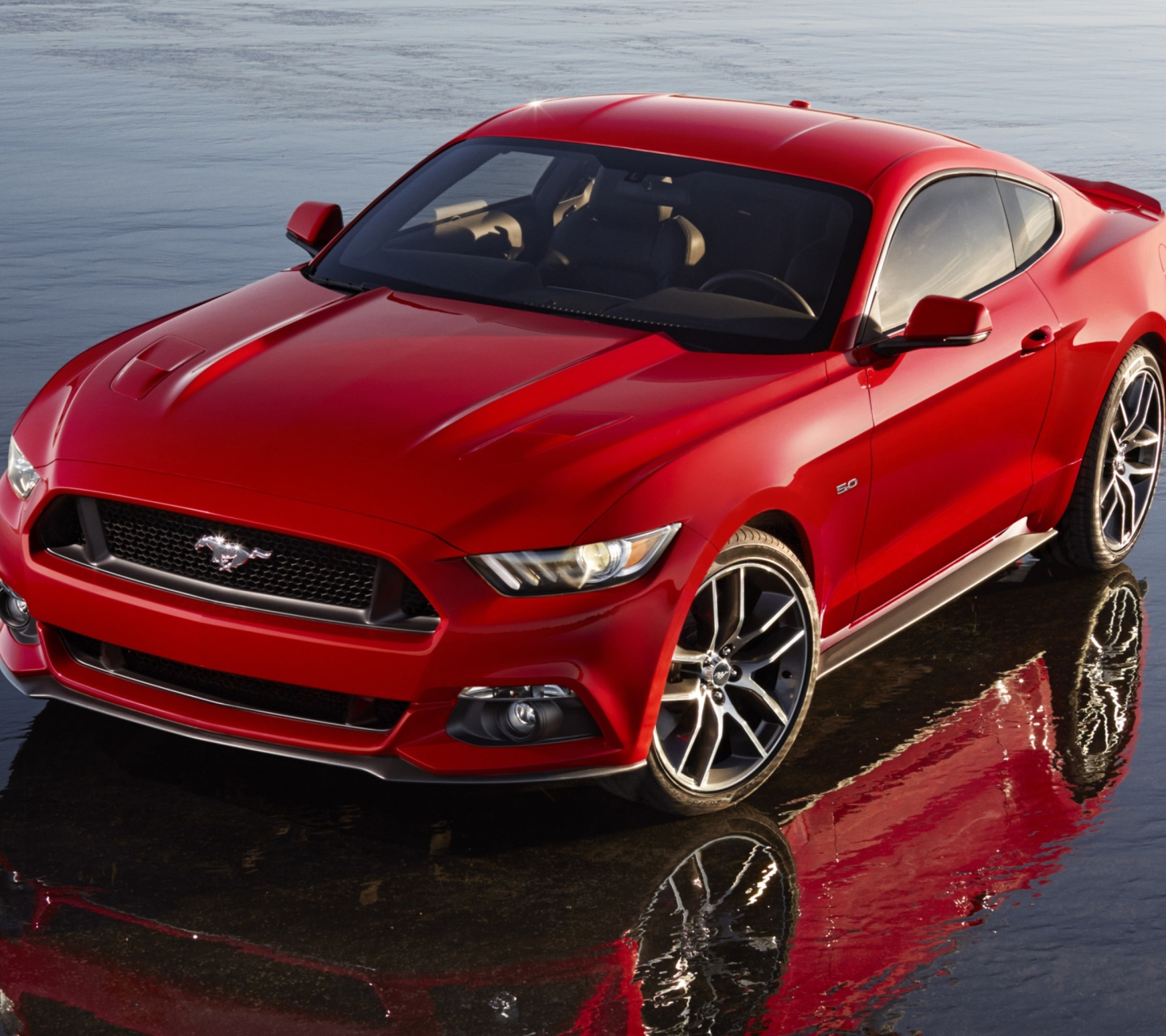 Fondo de pantalla 2015 Ford Mustang 1440x1280
