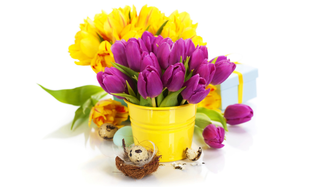 Fondo de pantalla Spring Easter Flowers 1024x600