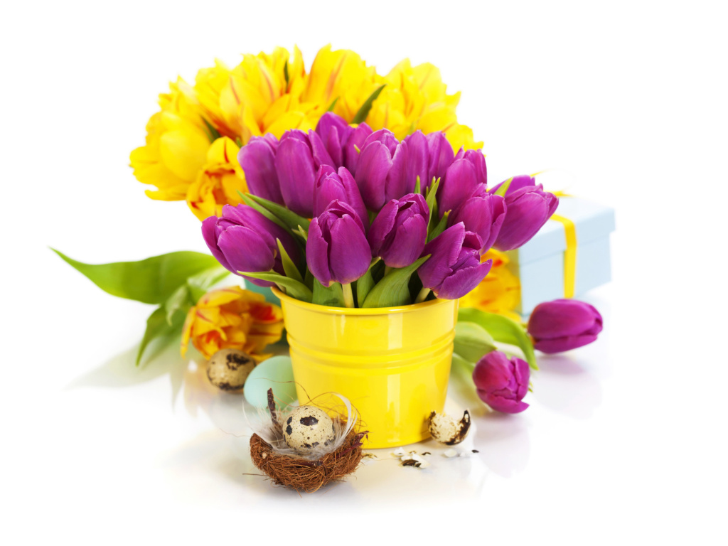 Sfondi Spring Easter Flowers 1024x768