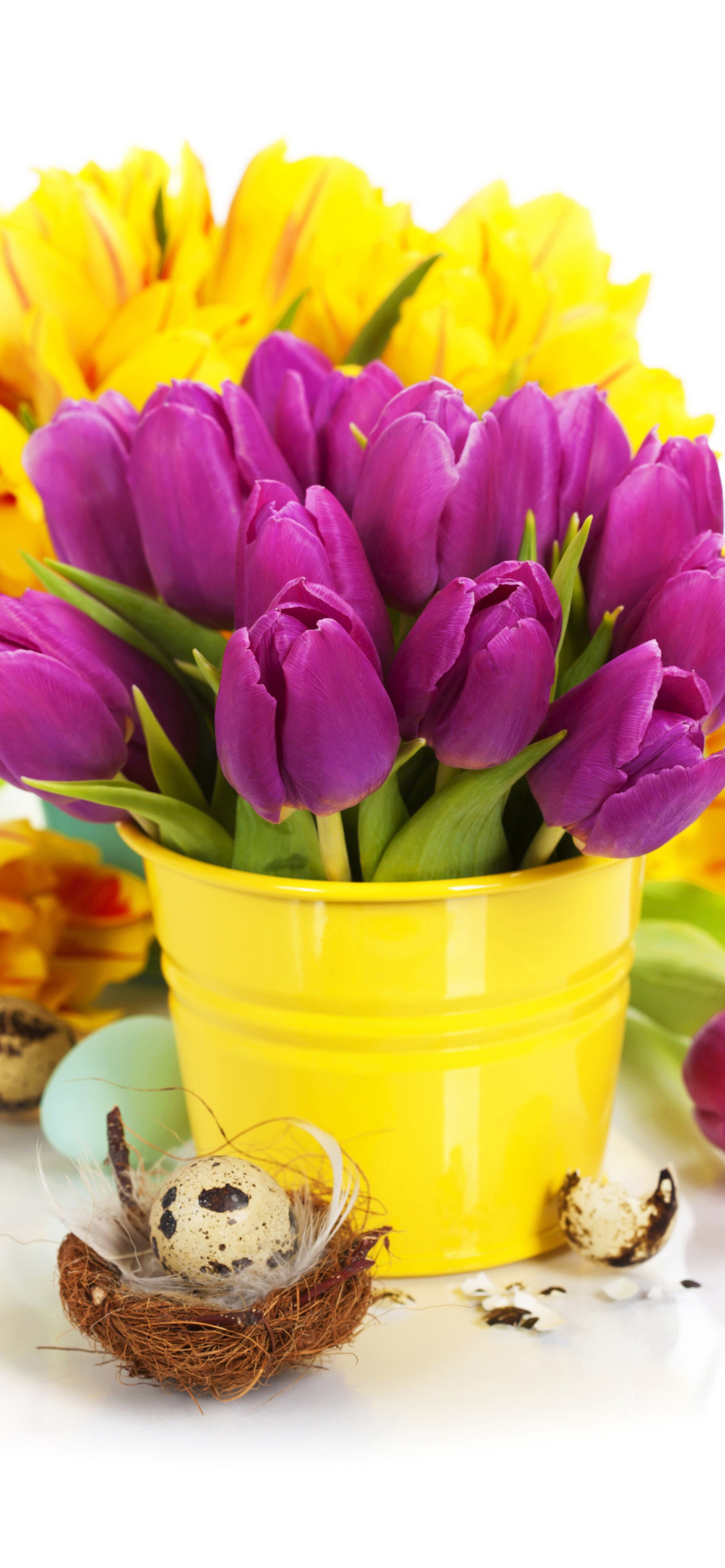 Fondo de pantalla Spring Easter Flowers 1170x2532