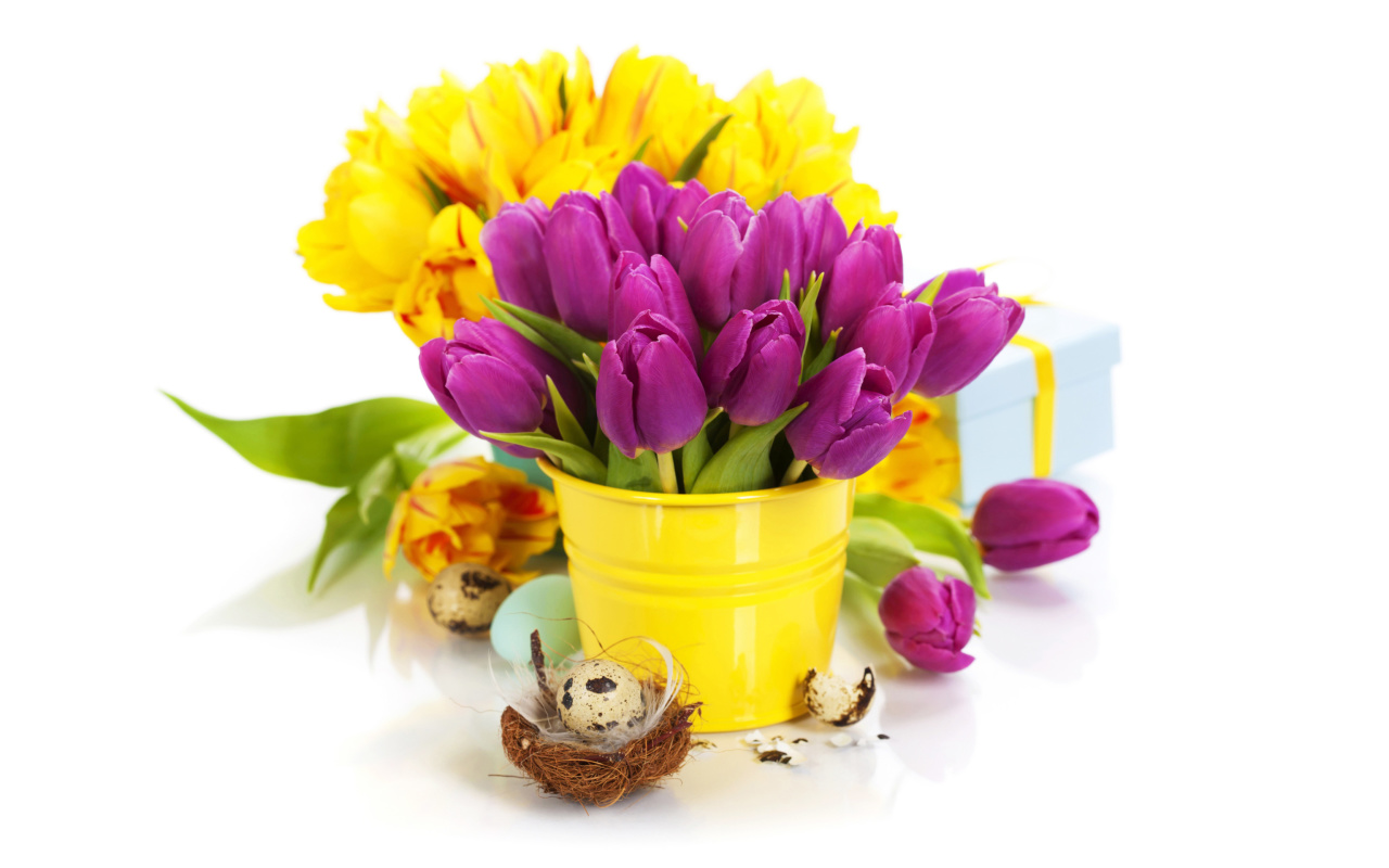 Fondo de pantalla Spring Easter Flowers 1280x800