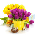 Das Spring Easter Flowers Wallpaper 128x128