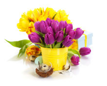 Das Spring Easter Flowers Wallpaper 220x176