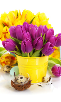 Das Spring Easter Flowers Wallpaper 240x400