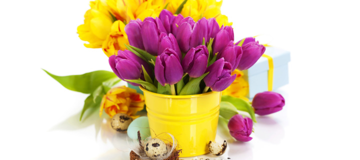Fondo de pantalla Spring Easter Flowers 720x320