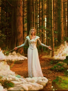 Oz Great And Powerful Witch screenshot #1 240x320