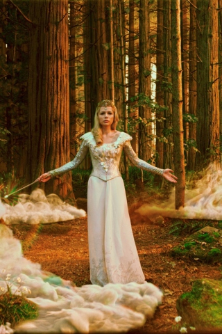 Oz Great And Powerful Witch wallpaper 320x480