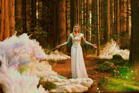 Oz Great And Powerful Witch wallpaper 480x320