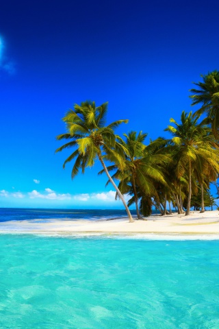 Das Tropical Vacation on Perhentian Islands Wallpaper 320x480