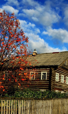 Village house design screenshot #1 240x400