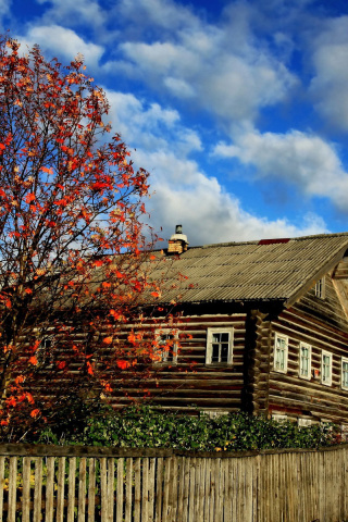 Village house design screenshot #1 320x480