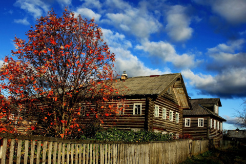 Fondo de pantalla Village house design 480x320