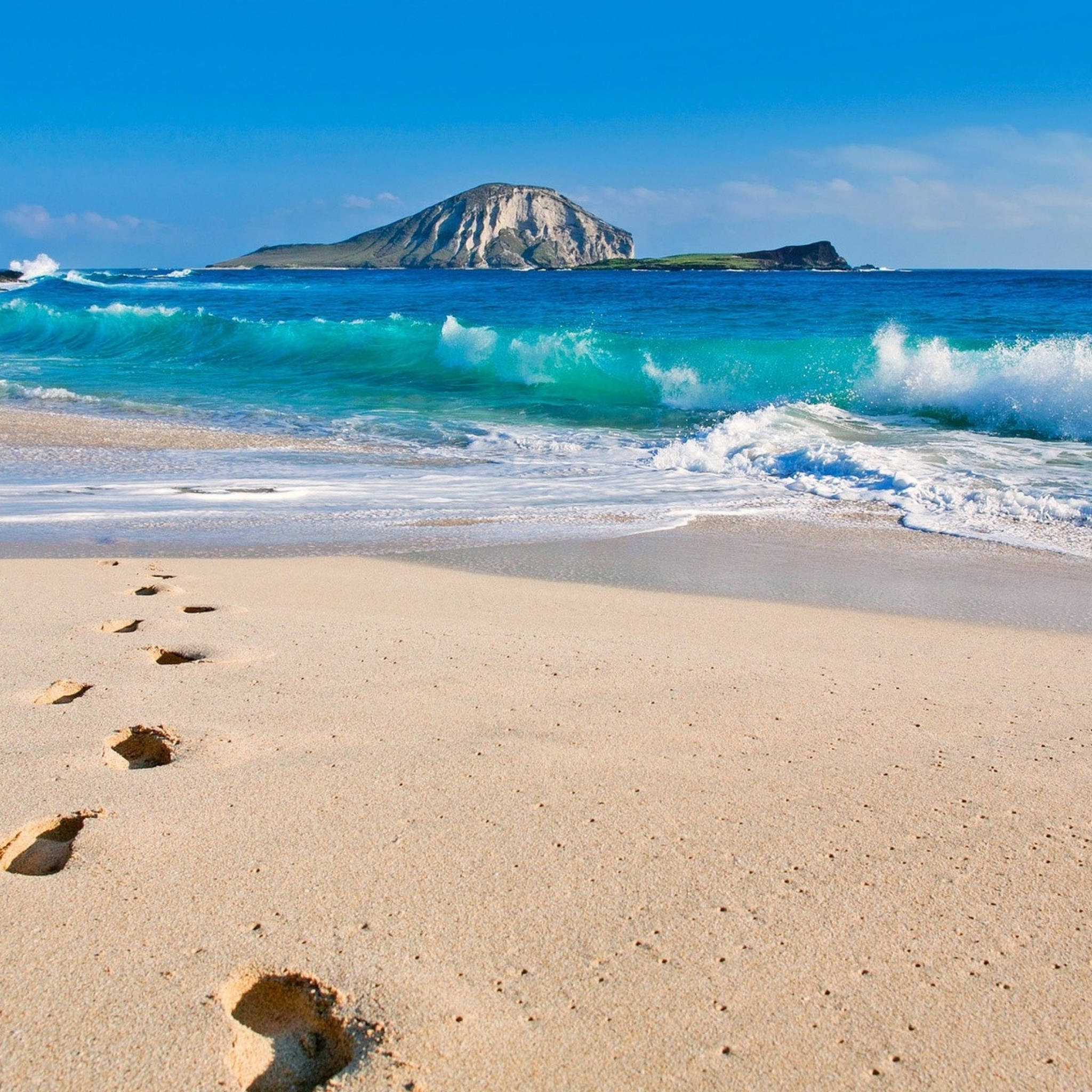 Красивые песчаные пляжи. Санд Беач. Тихий океан Гавайи. Берег моря. Красивый пляж.
