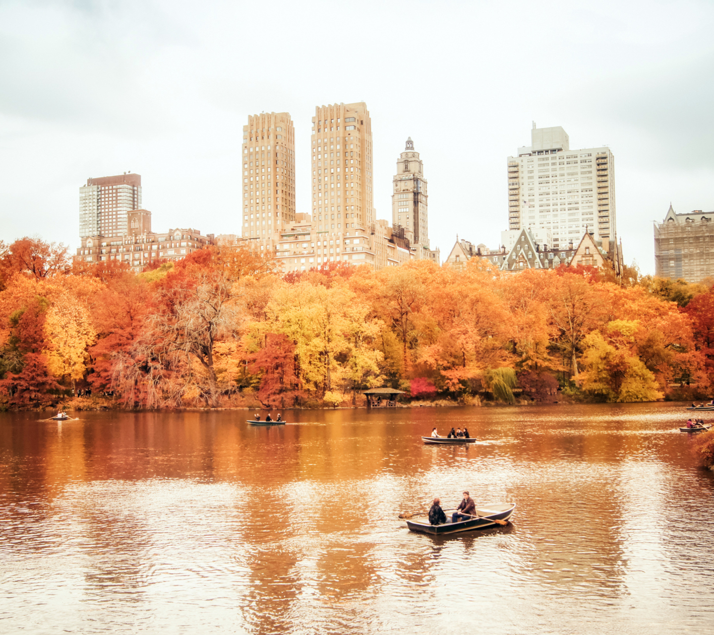 Fondo de pantalla Autumn In New York Central Park 1440x1280