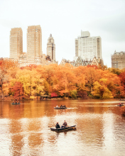 Das Autumn In New York Central Park Wallpaper 176x220