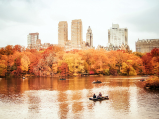 Обои Autumn In New York Central Park 320x240
