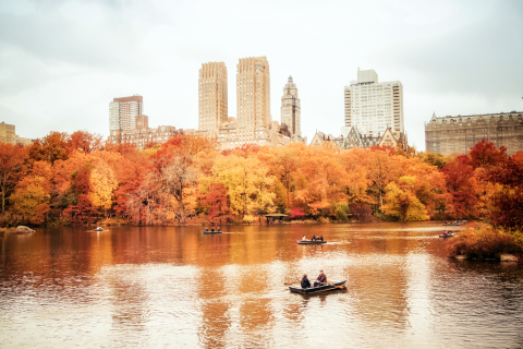 Обои Autumn In New York Central Park 480x320
