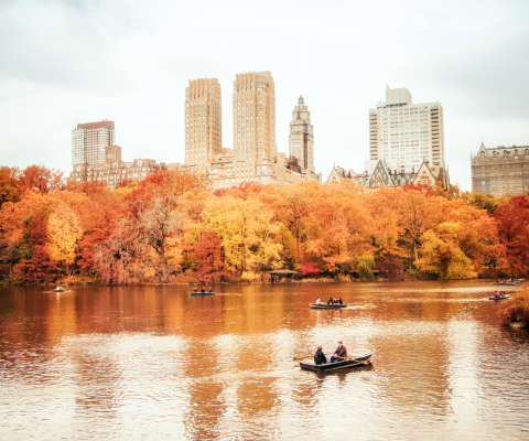 Sfondi Autumn In New York Central Park 480x400
