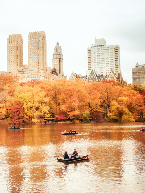 Screenshot №1 pro téma Autumn In New York Central Park 480x640