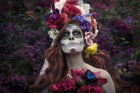 Mexican Day Of The Dead Face Art wallpaper 480x320